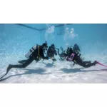 Open Water Diver Referral - Pool Only - Open Dates