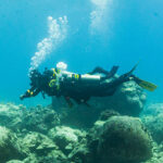 Discover Scuba Diving Elearning