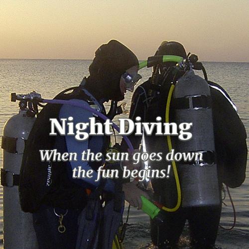 Night & Limited Visibility Specialty - Schedule TBA