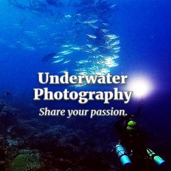 Photo & Video Specialty - Schedule TBA