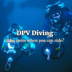 DPV Specialty - Schedule TBA