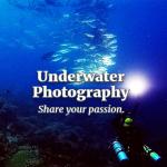 Photo & Video Specialty - Schedule TBA