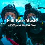 Dive Guide - Schedule TBA