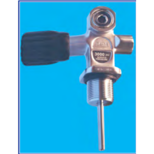 3/4" VALVE W/REMOVABLE INSERT FOR DIN