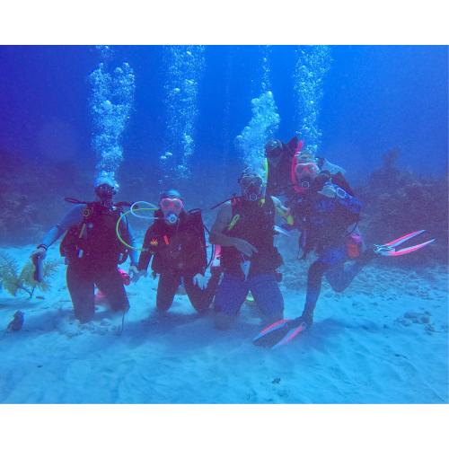 eLearning - Open Water Diver