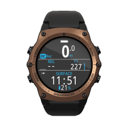 Teric Journeys Edition Bronze