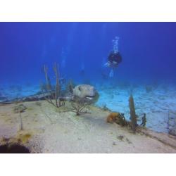 eLearning - ReActivate