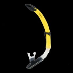 GOBI SNORKEL, YELLOW/BLACK