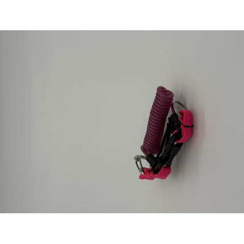 SNAPPY COIL - STAINLESS STEEL CARABINER