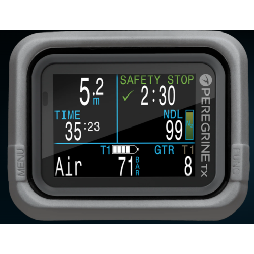 Peregrine Silicone Case - Grey