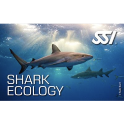 Shark Ecology kit