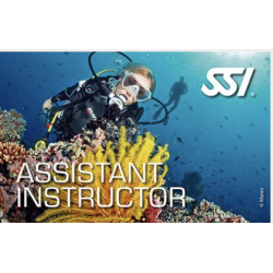 Assistant Instructor