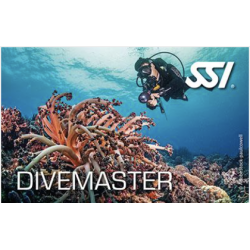 Divemaster