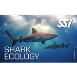 Shark Ecology kit