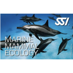 Marine Mammals Ecology Kit
