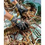 D VEIN KEVLAR GLOVES