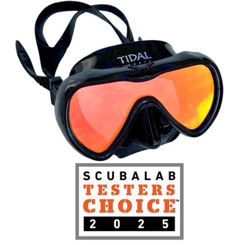 Black Mirrored Mask W/anti fog Tech