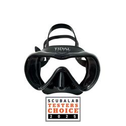 Black Mirrored Mask W/anti fog Tech