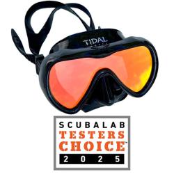 Black Mirrored Mask W/anti fog Tech