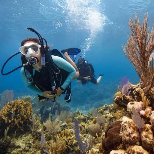 PADI Open Water Diver Course