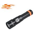 D710 DIVE LIGHT (INCLUDES BATTERY PACK AND CHARGER)