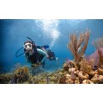 eLearning - Open Water Diver