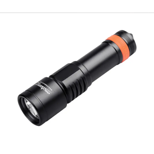 D700 DIVE LIGHT (INCLUDES BATTERY PACK AND CHARGER)
