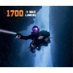 D700 DIVE LIGHT (INCLUDES BATTERY PACK AND CHARGER)