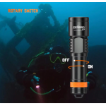 D700 DIVE LIGHT (INCLUDES BATTERY PACK AND CHARGER)