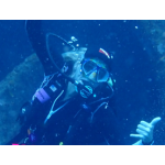 Squid Cap with "DIVE" Flag - Regular - Black