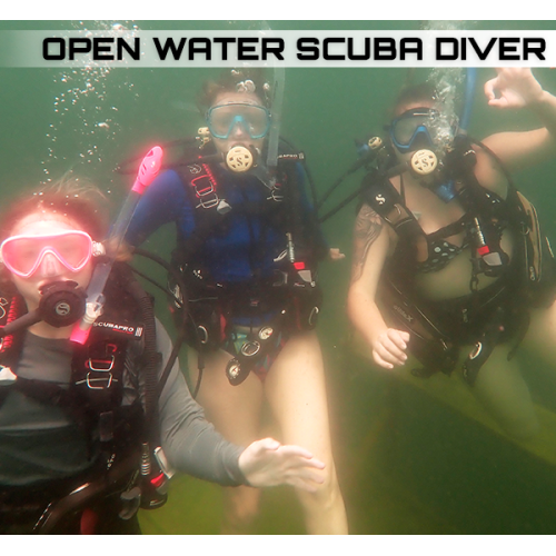 Open Water Diver Now