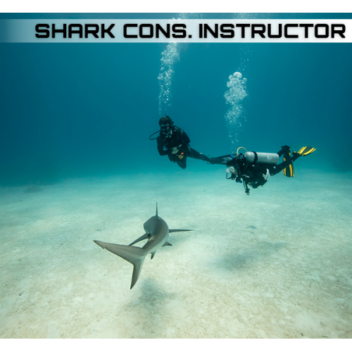 Shark Conservation Instructor