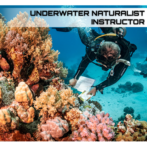 Underwater Naturalist Instructor