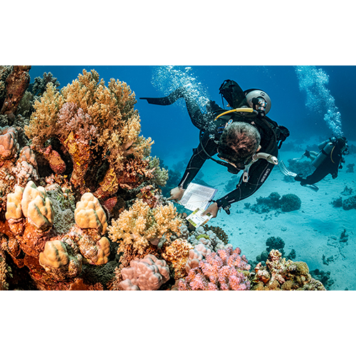 PADI Underwater Naturalist