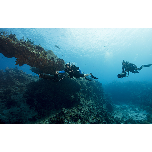 PADI Diver Propulsion Vehicle Specialty