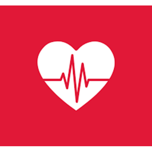 DAN Basic Life Support