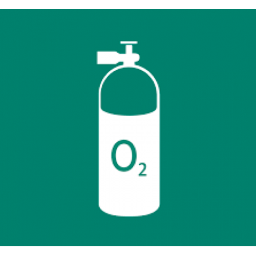 DAN Basic Life Support