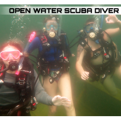 Open Water Diver Now