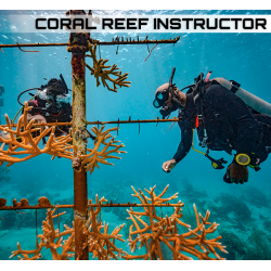 Coral Reef Conservation Instructor