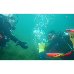 PADI Delayed Surface Marker Buoy Specialty