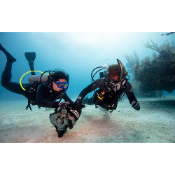PADI Dive Against Debris Specialty