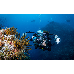 PADI Digital Underwater Photographer Specialty