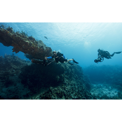 PADI Diver Propulsion Vehicle Specialty