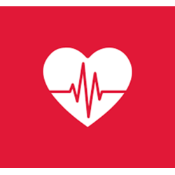 DAN Basic Life Support