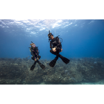 PADI Peak Performance Buoyancy