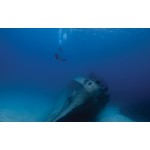 PADI Wreck Diver