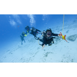 PADI Drift Diver