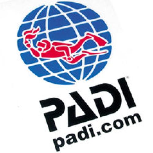 Sticker PADI Logo- Transparent