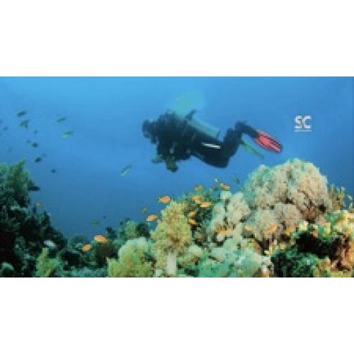 MICROFIBER DIVER TOWEL SCUBA DIVER 32"X60"