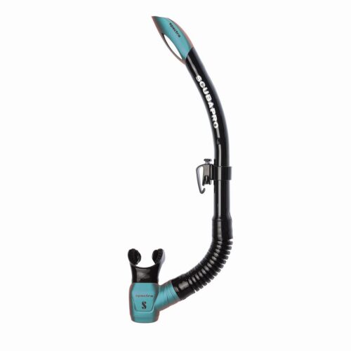 Spectra - Black/Turquoise